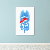 膵臓内臓X線画像 キャンバスプリント (インサイチュ (ウッドフロア))