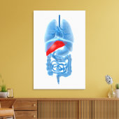 膵臓内臓X線画像 キャンバスプリント (インサイチュ (リビング))