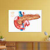 膵臓解剖学 キャンバスプリント (インサイチュ (リビング))