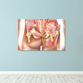 臀部の臀部筋の解剖学 キャンバスプリント (インサイチュ (ウッドフロア))