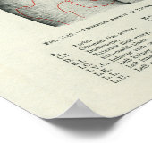 臓器に対する人間の表面解剖学的関係 ポスター (角)