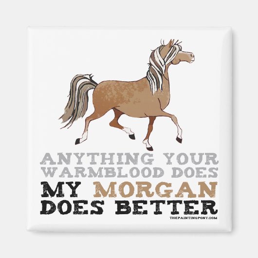 臓器の機能が優れている マグネット (正面)