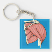 臓器イラストレーション キーホルダー (正面)