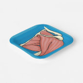 臓器イラストレーション ペーパープレート (傾斜あり)