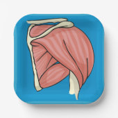 臓器イラストレーション ペーパープレート (正面)