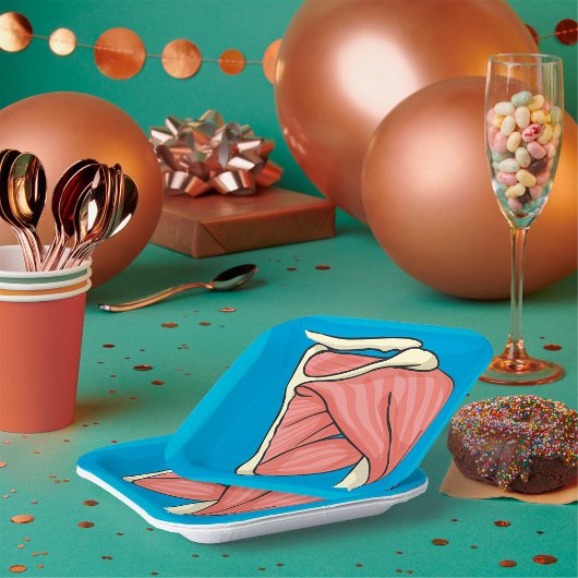 臓器イラストレーション ペーパープレート