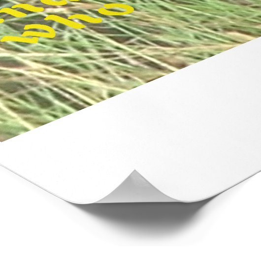 臥獅子隠し ポスター (角)