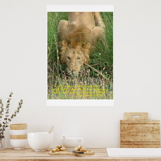 臥獅子隠し ポスター (キッチン)