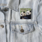 臥龍リザーブ、中国、ジャイアントパンダの抱擁 缶バッジ (インサイチュ)