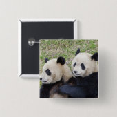 臥龍リザーブ、中国、ジャイアントパンダの抱擁 缶バッジ (正面&裏面)