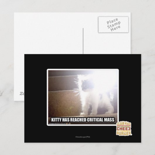 臨界質量子猫 ポストカード (正面/裏面)