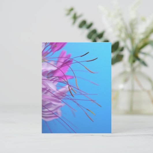 自カスタマイズ身のメッセージ付き ポストカード (スタンド正面)