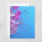 自カスタマイズ身のメッセージ付き ポストカード (正面/裏面)