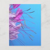 自カスタマイズ身のメッセージ付き ポストカード (正面)