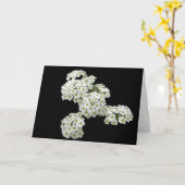 自作の白い花の挨拶状 カード (黄色い花)