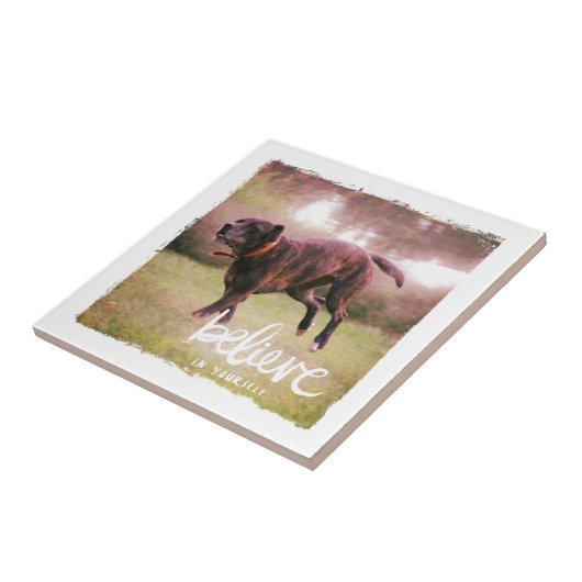 自信じ身で タイル (側面)