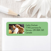 自信じ身で ラベル (インサイチュ)