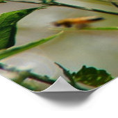 自信じ身のバタフライやる気を起こさせるポスター ポスター (角)