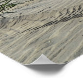 自信じ身(ビーチ、砂丘、フェンス、海のオート麦) ポスター (角)