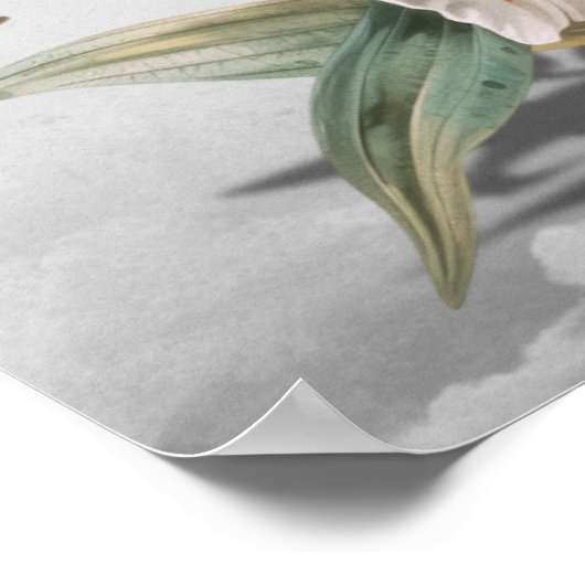 自信じ身 ポスター (角)