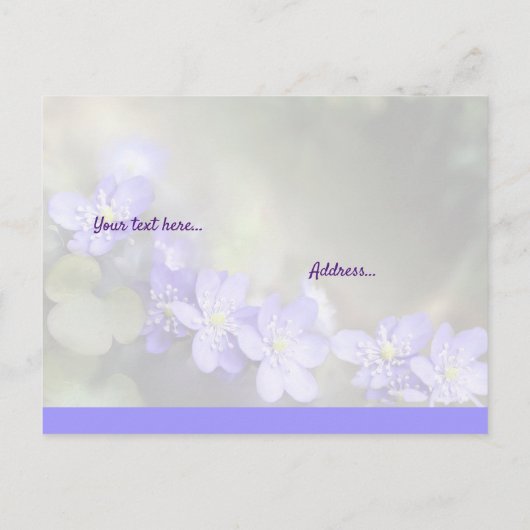 自信と神ポストカードへの信頼 ポストカード (裏面)