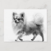 自信のあるステップズハンド絵を描チワワ ポストカード (正面)