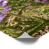 自信を持って夢の方向に進む ポスター (角)