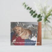 自信 ポストカード (スタンド正面)