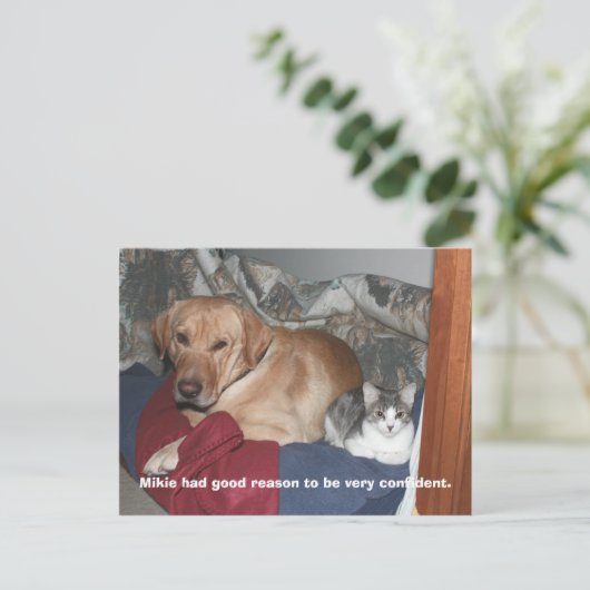 自信 ポストカード (スタンド正面)