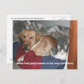 自信 ポストカード (正面/裏面)