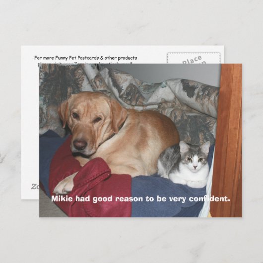 自信 ポストカード (正面/裏面)