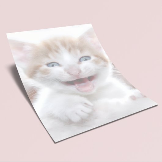 自分だけのオリジナル2枚組写真便箋を作成 便箋