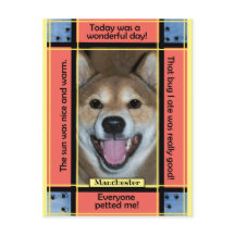 自分だけのペットの犬・猫の写真と面白いテキストを作成