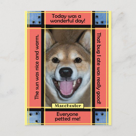 自分だけのペット犬猫写真面白いテキストを作成する ポストカード (正面)