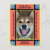 自分だけのペット犬猫写真面白いテキストを作成 ポストカード (正面)