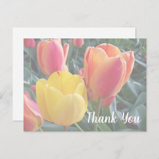 自分だけの優しい色の写真でサンクスカードを作ろう ポストカード (正面/裏面)