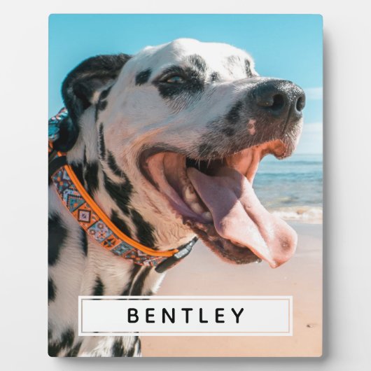 自分だけの名前の写真をデザインする フォトプラーク (正面)