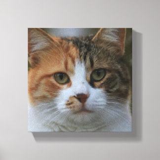 自分だけの猫のペット写真カスタムピクチャーを作成 キャンバスプリント