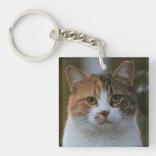 自分だけの猫のペット写真カスタムピクチャーを作成 キーホルダー