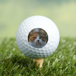 自分だけの猫のペット写真カスタムピクチャーを作成 ゴルフボール