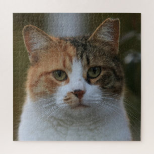 自分だけの猫のペット写真カスタムピクチャーを作成 ジグソーパズル