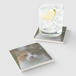自分だけの猫のペット写真カスタムピクチャーを作成 ストーンコースター
