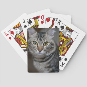 自分だけの猫のペット写真カスタムピクチャーを作成 トランプ
