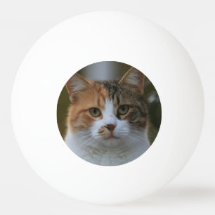 自分だけの猫のペット写真カスタムピクチャーを作成 卓球ボール