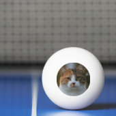 自分だけの猫のペット写真カスタムピクチャーを作成 卓球ボール (ネット)