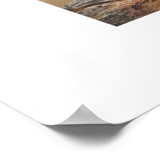 自分だけの14枚の写真コラージュポスターを作成 ポスター (角)