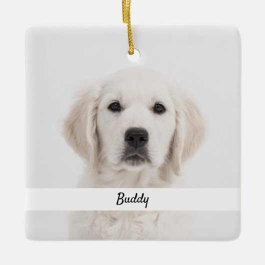 自分でペットのメモを作る贈り物を記念 セラミックオーナメント (正面)