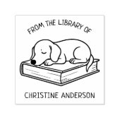 自分で作る | ダシュント | 図書館から セルフインキングスタンプ (デザイン)