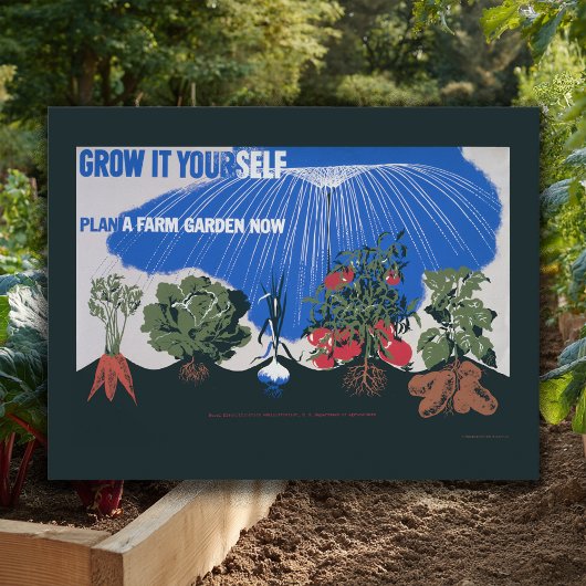 自分で成長させる ポストカード