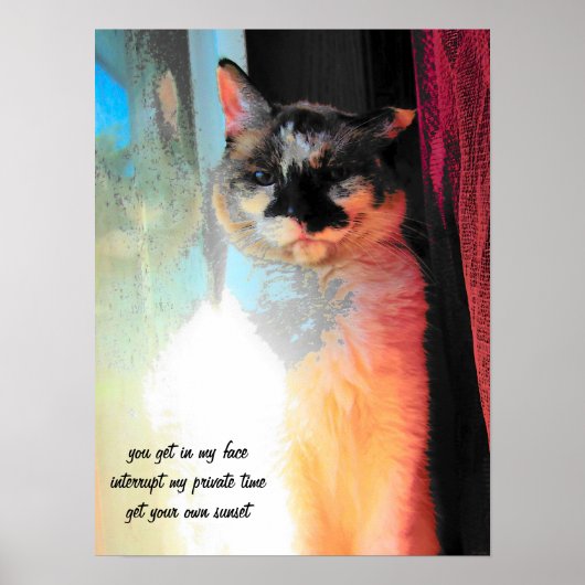 自分で日没の俳句を手に入れる ポスター (正面)